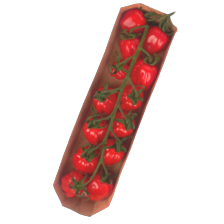 Cherry pruimtrostomaten